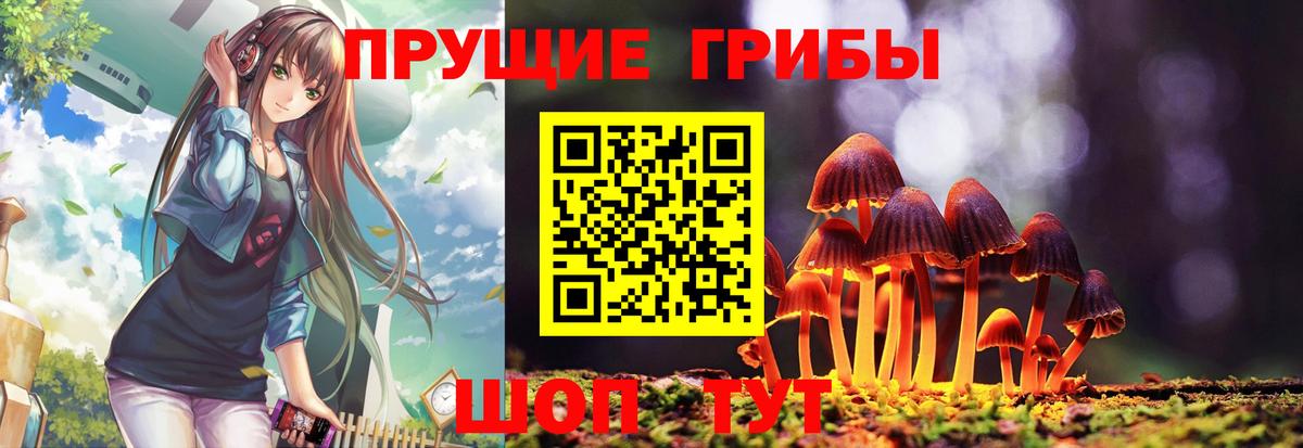 Кропоткин  Галлюциногенные грибы прущие грибы  Вход с VPN 
